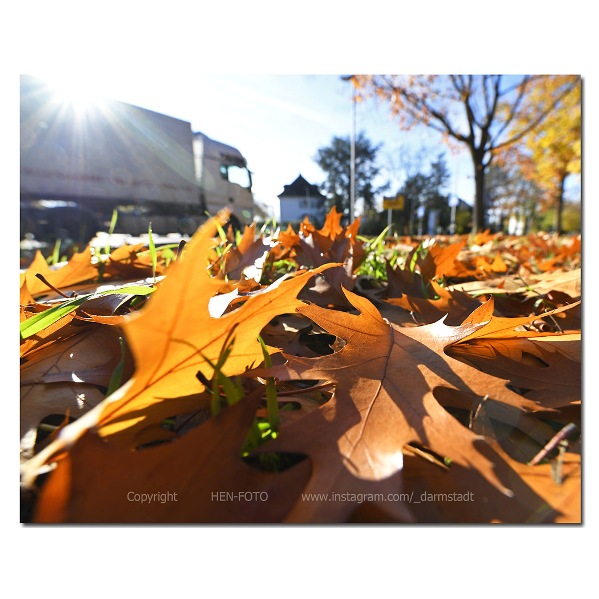 Herbstlaub © HEN-FOTO / Peter Henrich