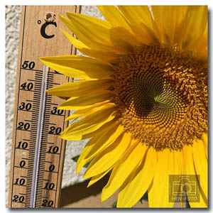 Thermometer steigt in der Mittagssonne über 40 Grad