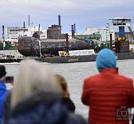 Vorbei an Gernsheim führt der Weg von U-Boot U17 auf dem Weg in den Naturhafen in Speyer und weiter ins Technik-Museum Sinsheim ( © HEN-FOTO )