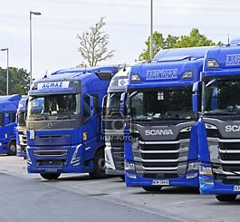 Erneuter Streik osteuropäischer LKW-Fahrer ausstehender Lohnzahlungen von polnischer Spedition ( © HEN-FOTO )