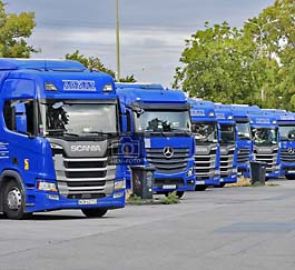 Zu den über 70 streikenden LKW-Fahrer in Weiterstadt - Gräfenhausen befinden sich noch weitere auf der Rastanlage Pfungstadt-West ( © HEN-FOTO )