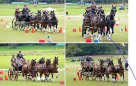 Hessische Meisterschaft im Pferdesport Gespannfahren beim RFV Modautal ( copxright HEN-FOTO )