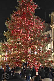 Unterschiedliche Weihnachtsdeko strahlt in der Vorweihnachtszeit auf dem Marktplatz oder zu Hause ( © HEN-FOTO )