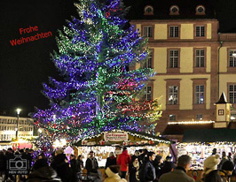 Ein besinnliches Weihnachtsfest mit einem Blick auf den Weihnachtsbaum des Darmstädter Weihnachtsmarktes ( © HEN-FOTO )