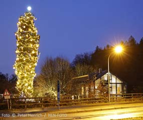 Und Pünktlich zum Ersten Advent leuchtet der wohl größte Natur-Weihnachtsbaum in Darmstadt-Eberstadt ( Foto © Peter Henrich / HEN-FOTO)